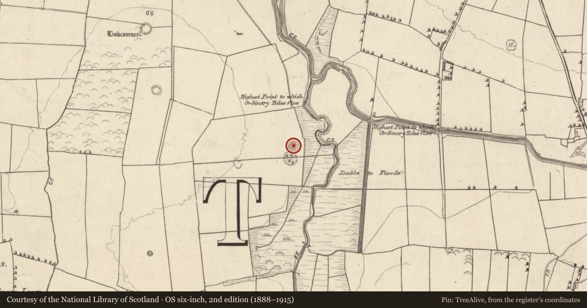 Ordnance Survey six-inch map, 2nd edition (1888–1915) covering the location of Mound, Ballydunlea, County Kerry, with a pin at the register's coordinates