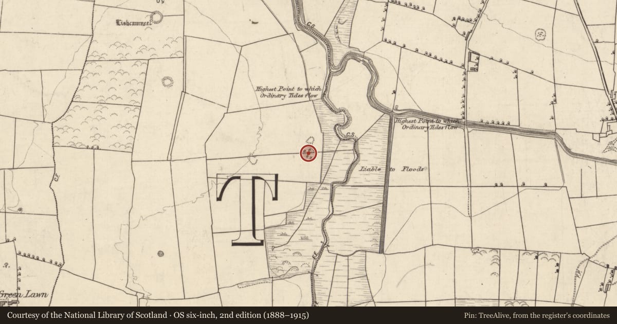 Ordnance Survey six-inch map, 2nd edition (1888–1915) covering the location of Ringfort - cashel, Ballydunlea, County Kerry, with a pin at the register's coordinates