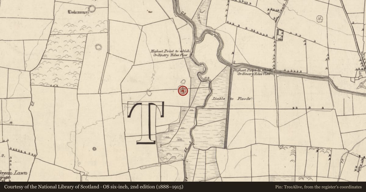 Ordnance Survey six-inch map, 2nd edition (1888–1915) covering the location of Standing stone, Ballydunlea, County Kerry, with a pin at the register's coordinates