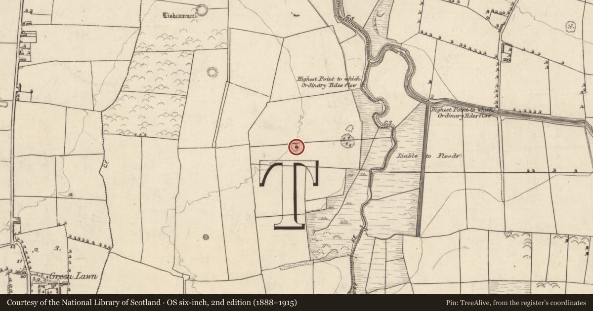 Ordnance Survey six-inch map, 2nd edition (1888–1915) covering the location of Quarry, Ballydunlea, County Kerry, with a pin at the register's coordinates