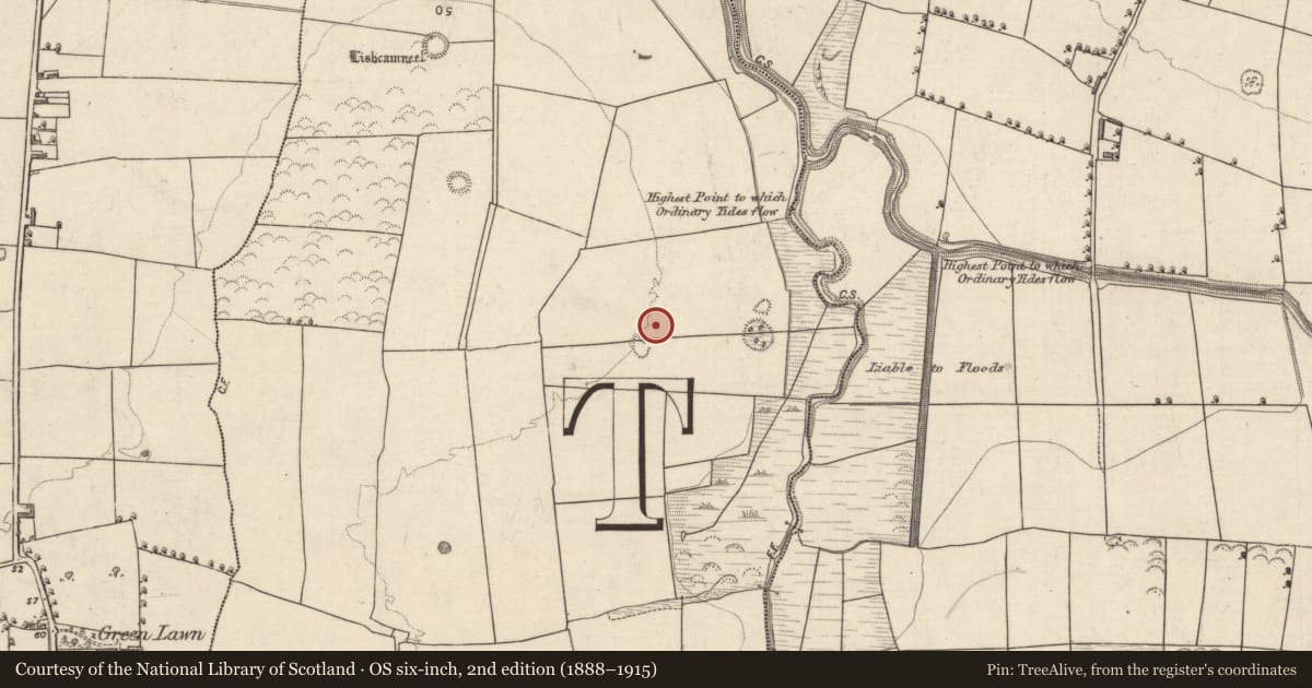 Ordnance Survey six-inch map, 2nd edition (1888–1915) covering the location of Burial, Ballydunlea, County Kerry, with a pin at the register's coordinates