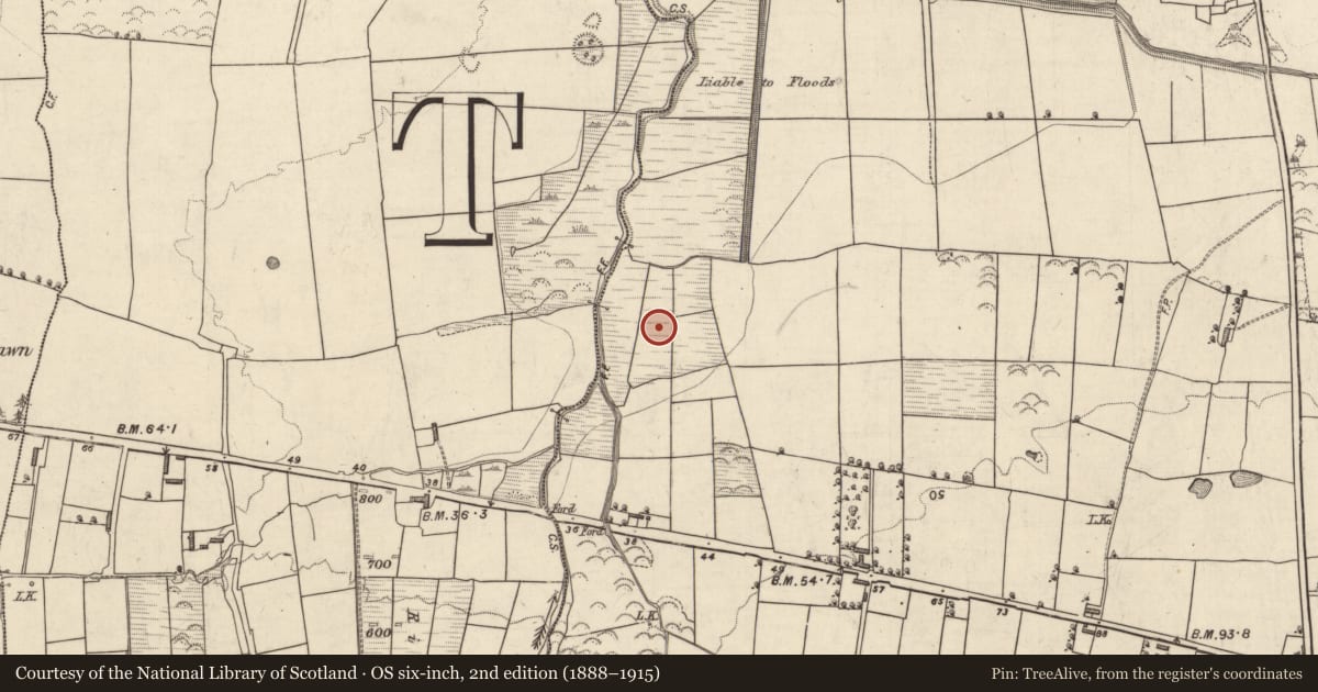 Ordnance Survey six-inch map, 2nd edition (1888–1915) covering the location of Enclosure, Clahane, County Kerry, with a pin at the register's coordinates