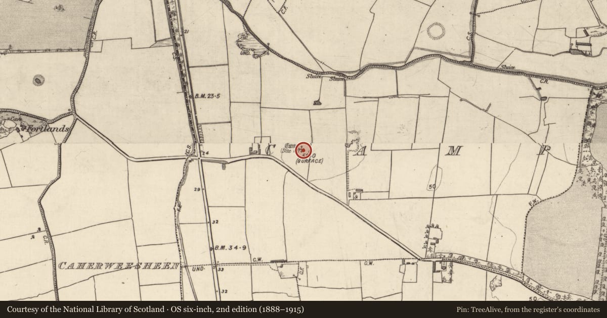 Ordnance Survey six-inch map, 2nd edition (1888–1915) covering the location of Enclosure, Camp, County Kerry, with a pin at the register's coordinates