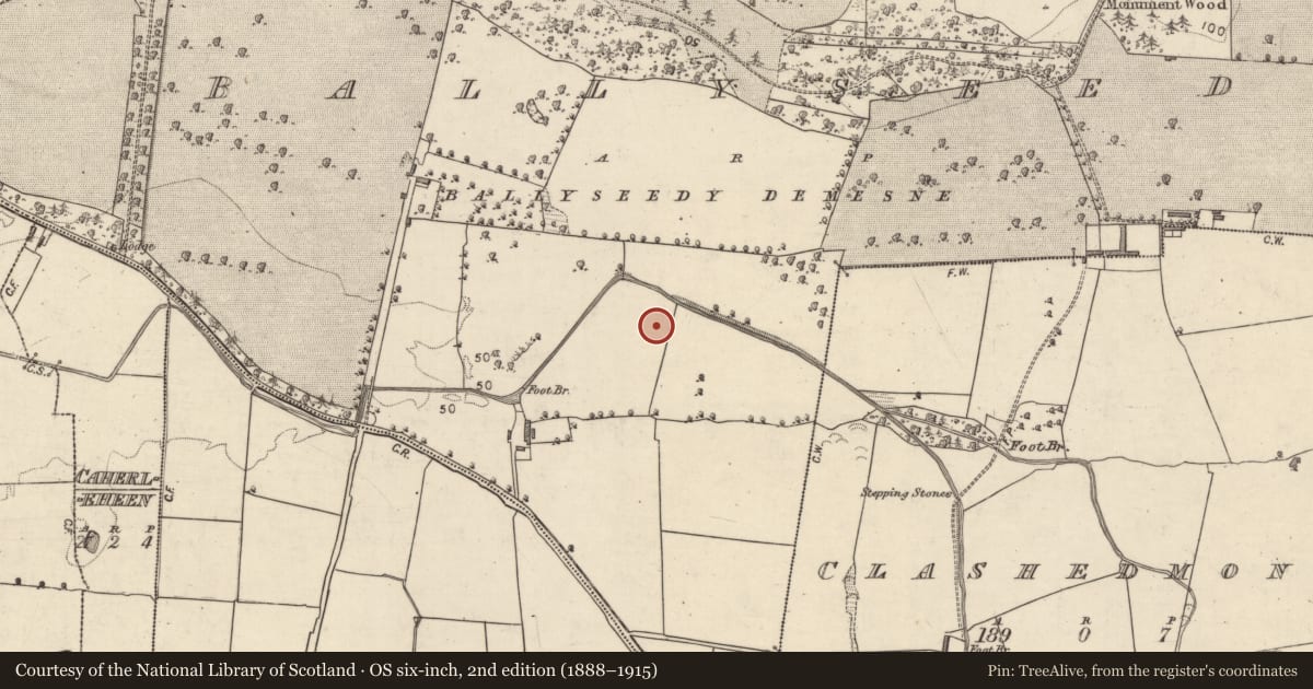 Ordnance Survey six-inch map, 2nd edition (1888–1915) covering the location of Enclosure, Ballyseedy, County Kerry, with a pin at the register's coordinates