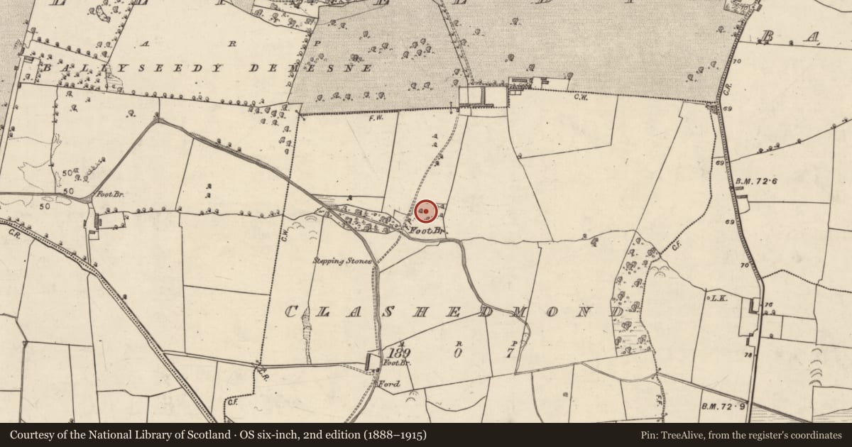 Ordnance Survey six-inch map, 2nd edition (1888–1915) covering the location of Enclosure, Clashedmond, County Kerry, with a pin at the register's coordinates