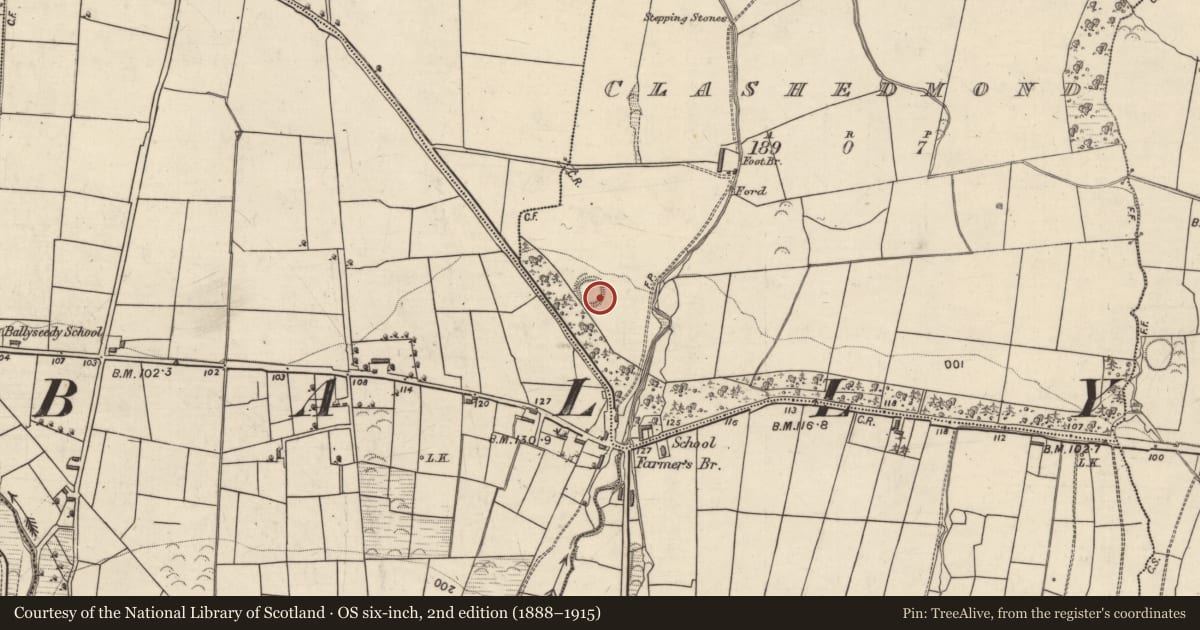 Ordnance Survey six-inch map, 2nd edition (1888–1915) covering the location of Ringfort - rath, Clashedmond, County Kerry, with a pin at the register's coordinates