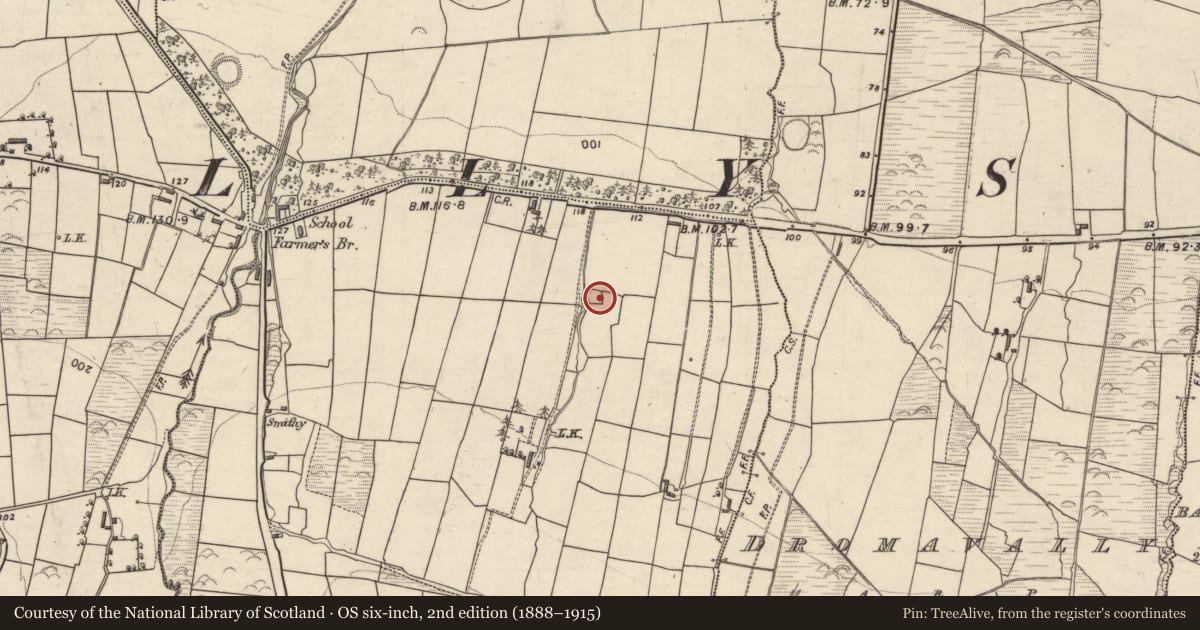 Ordnance Survey six-inch map, 2nd edition (1888–1915) covering the location of Enclosure, Lissardboola, County Kerry, with a pin at the register's coordinates