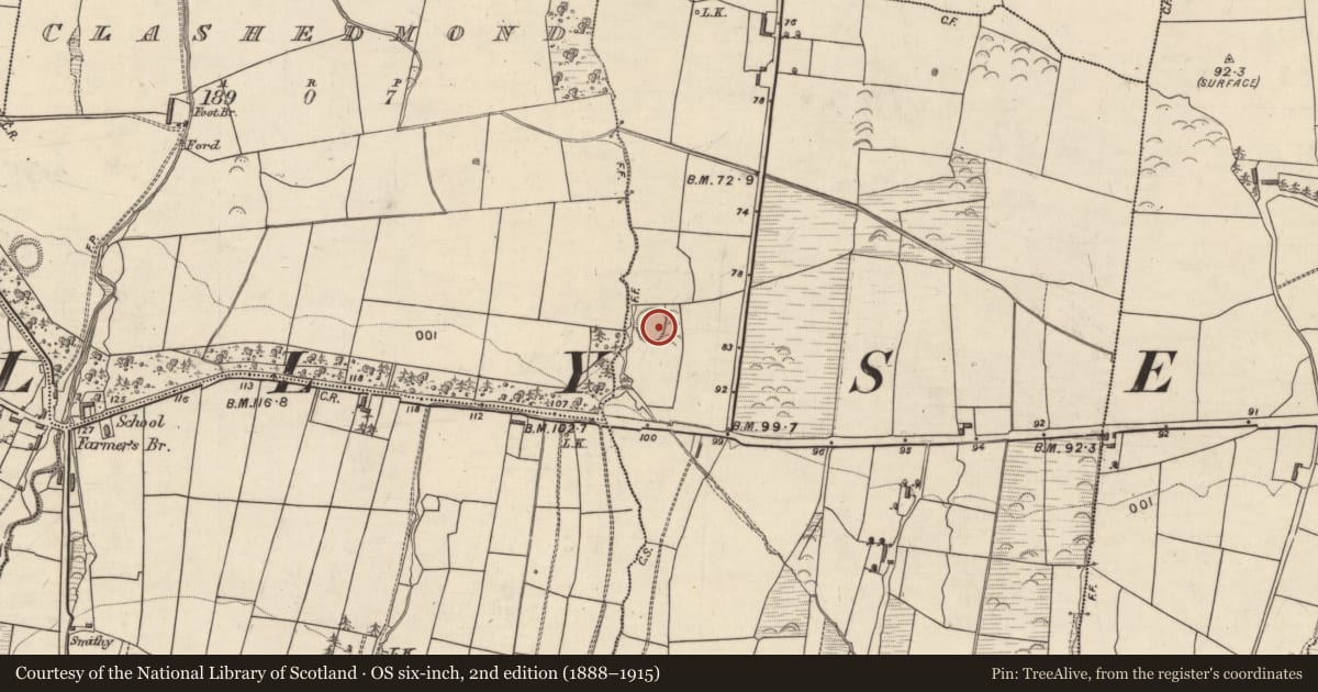 Ordnance Survey six-inch map, 2nd edition (1888–1915) covering the location of Enclosure, Dromavally, County Kerry, with a pin at the register's coordinates