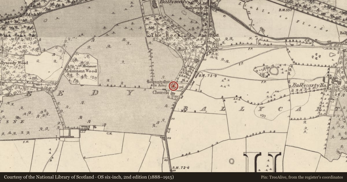 Ordnance Survey six-inch map, 2nd edition (1888–1915) covering the location of Church, Ballyseedy, County Kerry, with a pin at the register's coordinates