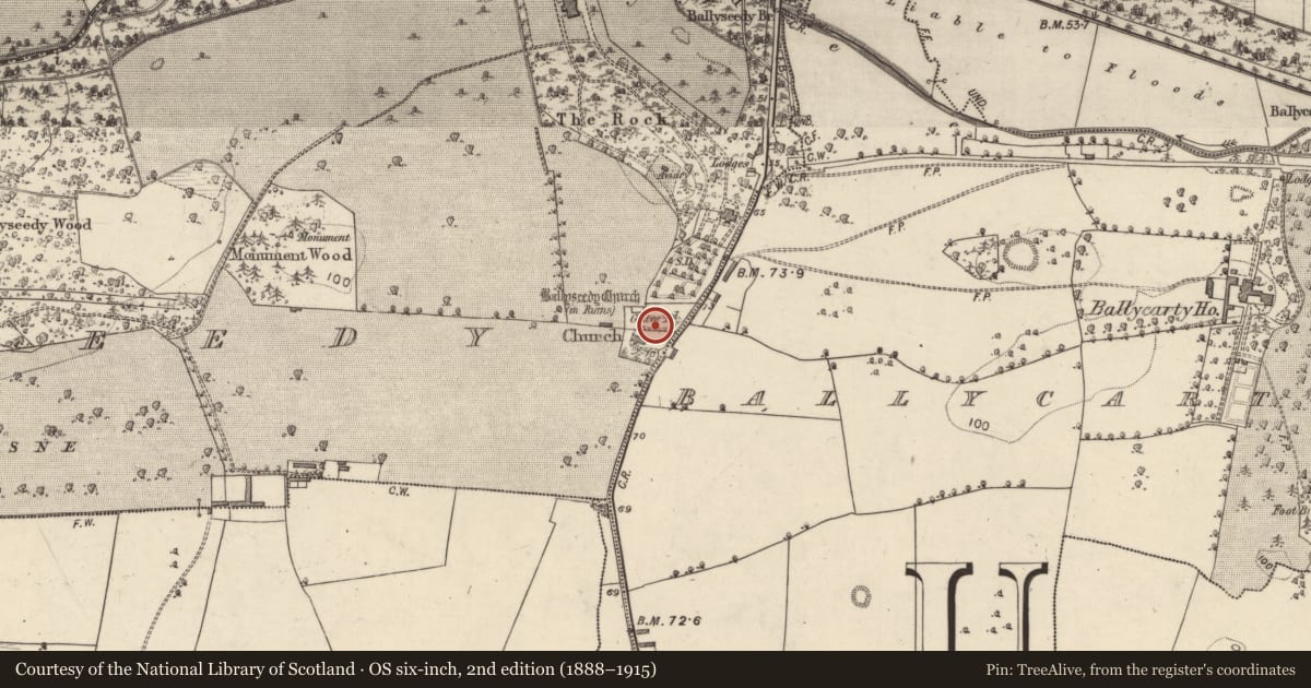 Ordnance Survey six-inch map, 2nd edition (1888–1915) covering the location of Graveyard, Ballyseedy, County Kerry, with a pin at the register's coordinates