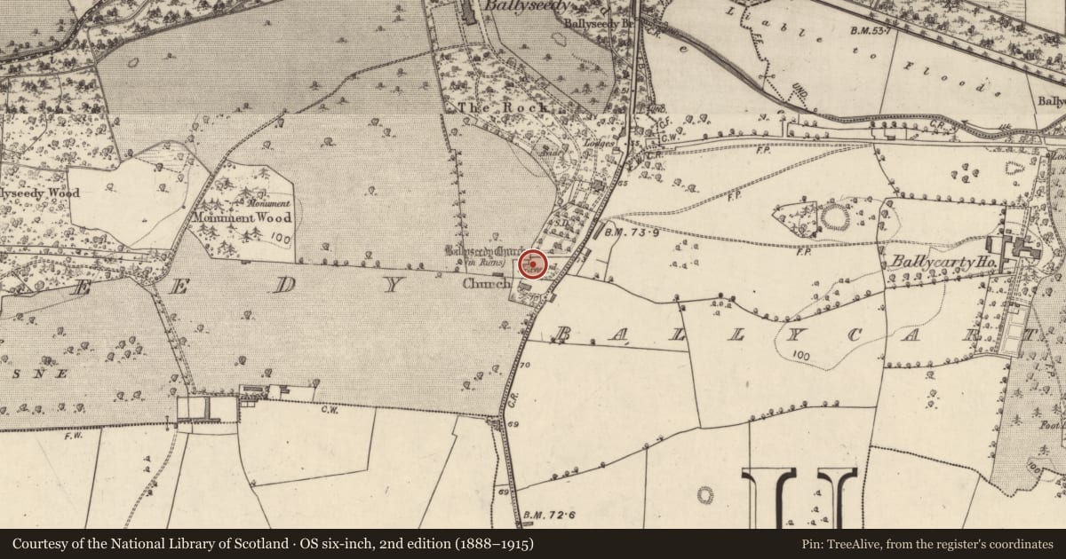 Ordnance Survey six-inch map, 2nd edition (1888–1915) covering the location of Memorial stone, Ballyseedy, County Kerry, with a pin at the register's coordinates