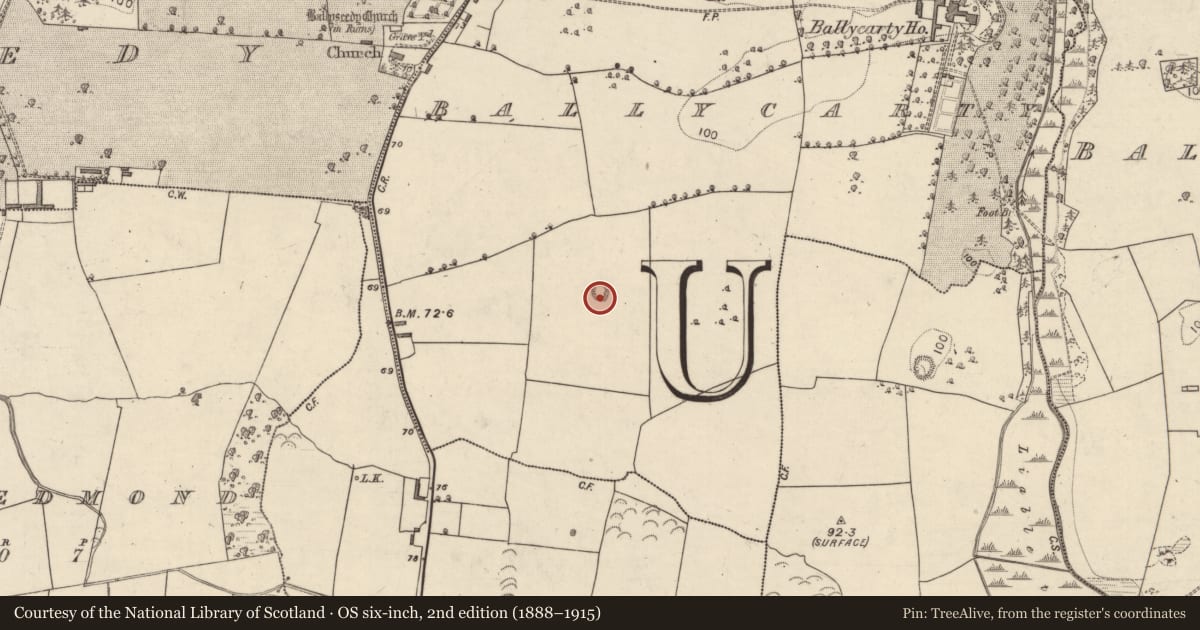Ordnance Survey six-inch map, 2nd edition (1888–1915) covering the location of Enclosure, Ballycarty, County Kerry, with a pin at the register's coordinates