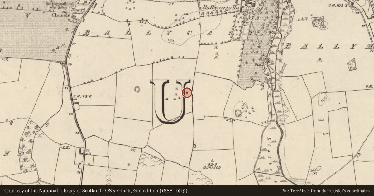 Ordnance Survey six-inch map, 2nd edition (1888–1915) covering the location of Enclosure, Ballycarty, County Kerry, with a pin at the register's coordinates