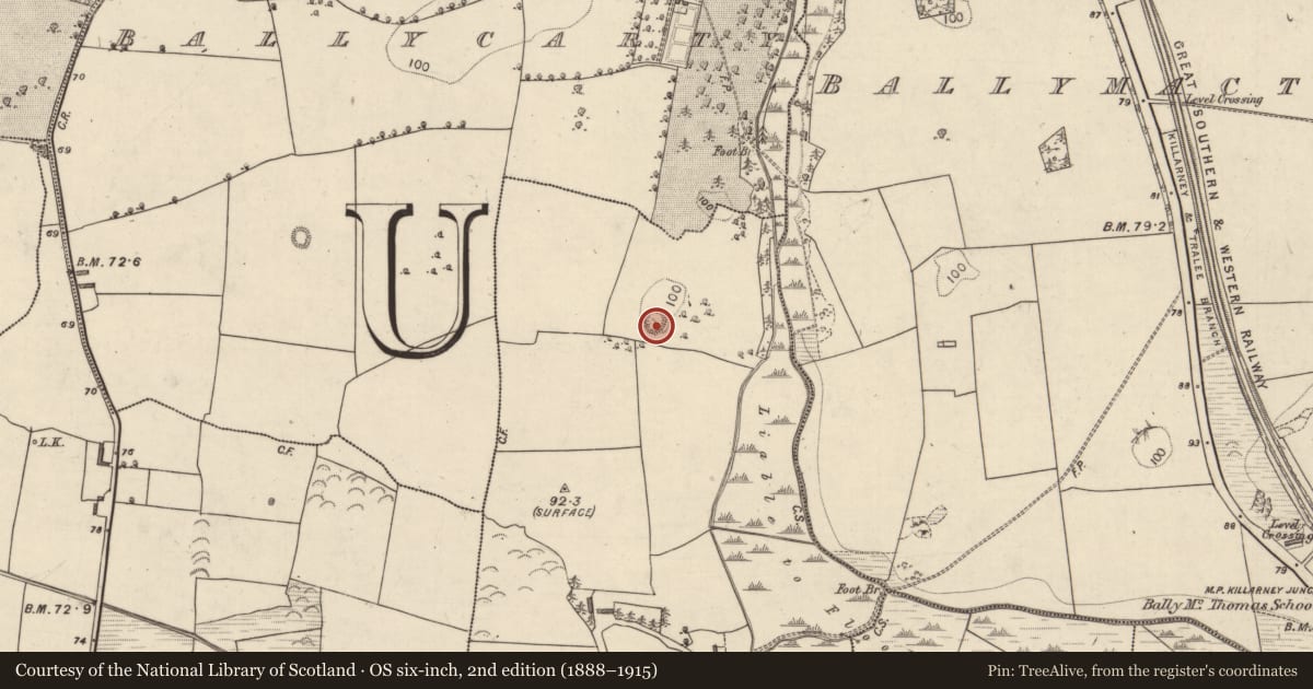 Ordnance Survey six-inch map, 2nd edition (1888–1915) covering the location of Enclosure, Ballindooganig, County Kerry, with a pin at the register's coordinates