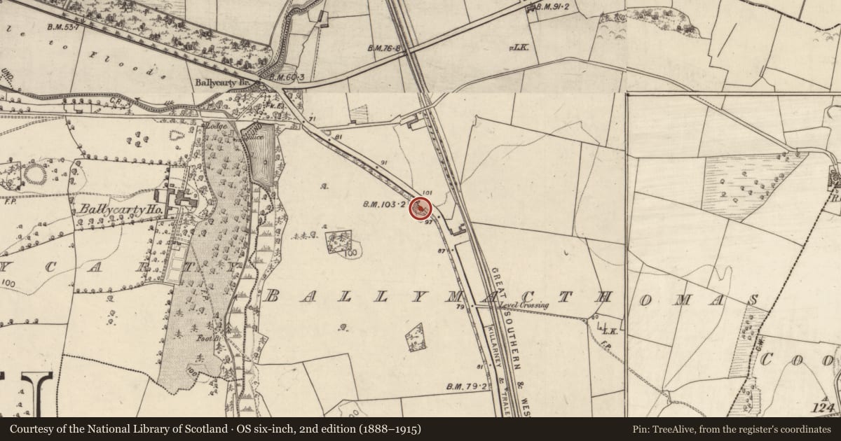 Ordnance Survey six-inch map, 2nd edition (1888–1915) covering the location of Enclosure, Ballymacthomas, County Kerry, with a pin at the register's coordinates