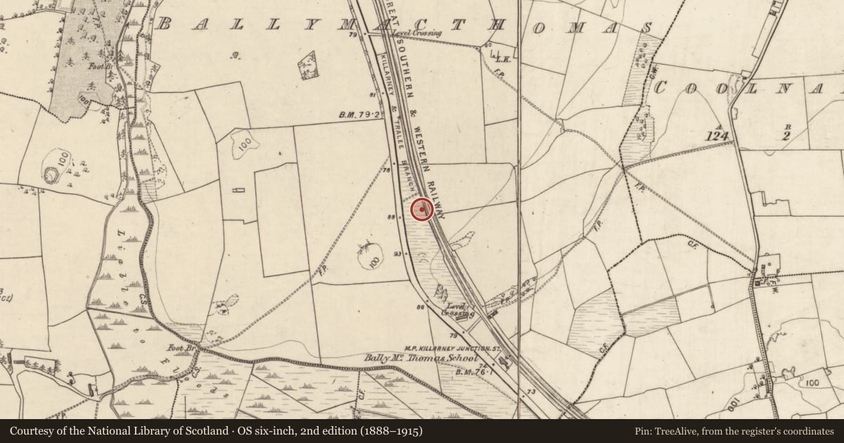 Ordnance Survey six-inch map, 2nd edition (1888–1915) covering the location of Enclosure, Ballymacthomas, County Kerry, with a pin at the register's coordinates