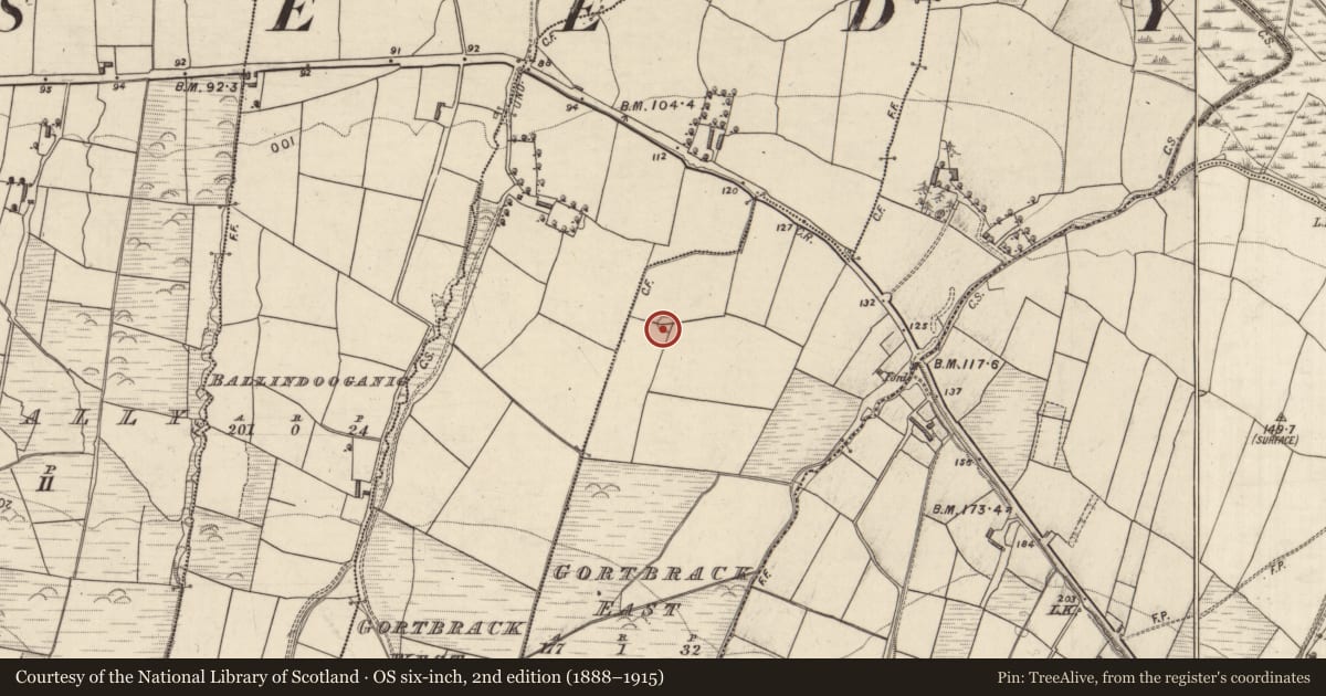 Ordnance Survey six-inch map, 2nd edition (1888–1915) covering the location of Enclosure, Gortbrack East, County Kerry, with a pin at the register's coordinates