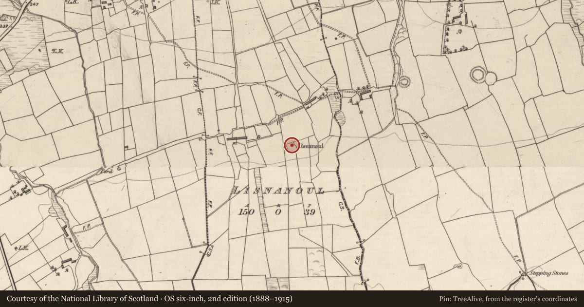 Ordnance Survey six-inch map, 2nd edition (1888–1915) covering the location of Enclosure, Lisnanoul, County Kerry, with a pin at the register's coordinates