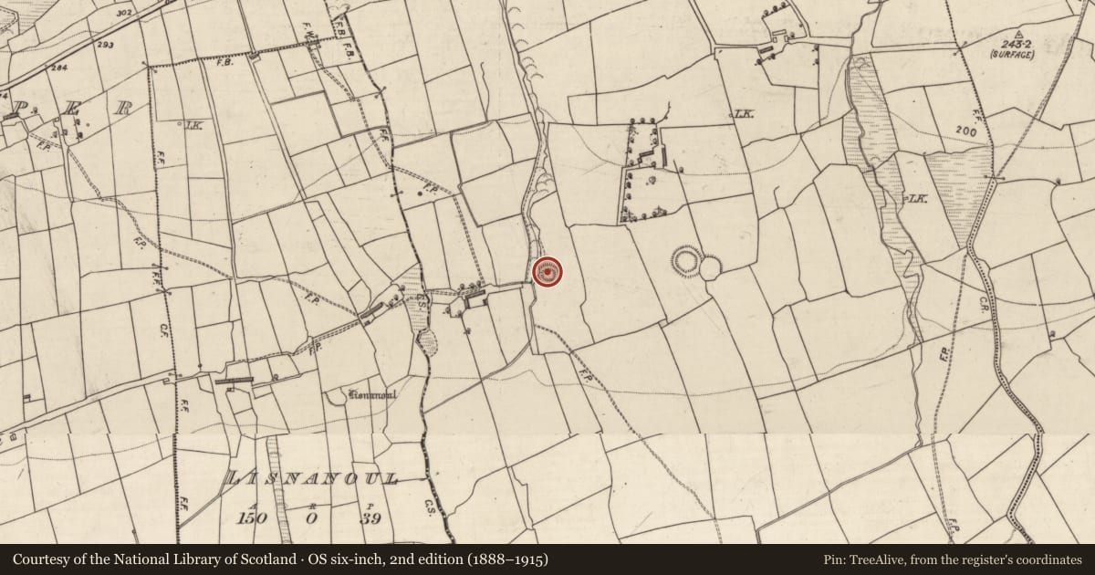 Ordnance Survey six-inch map, 2nd edition (1888–1915) covering the location of Ringfort - rath, Knockbrack, County Kerry, with a pin at the register's coordinates