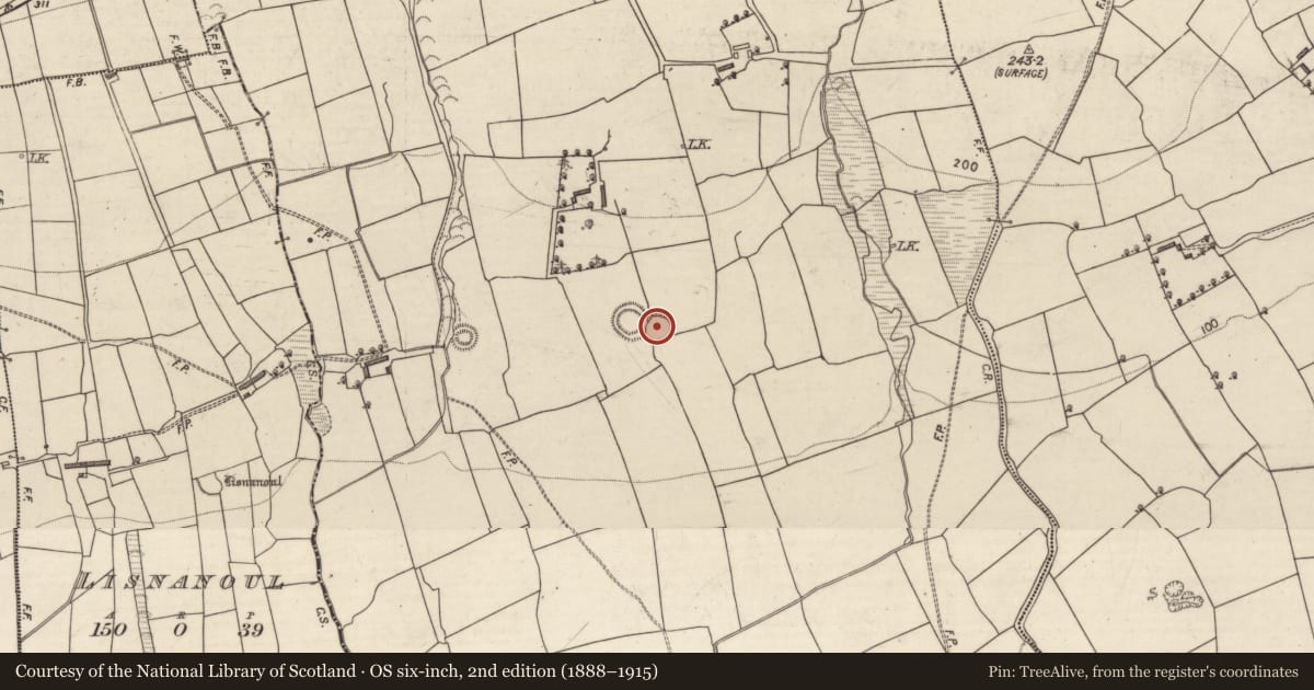 Ordnance Survey six-inch map, 2nd edition (1888–1915) covering the location of Souterrain, Knockbrack, County Kerry, with a pin at the register's coordinates