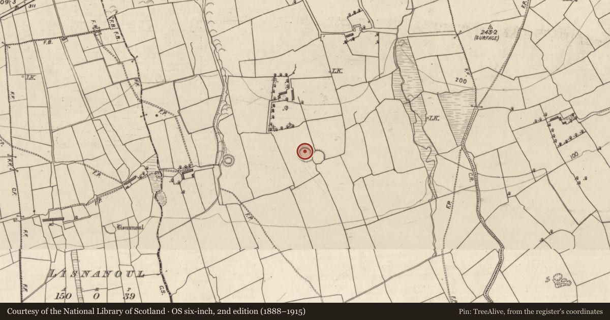 Ordnance Survey six-inch map, 2nd edition (1888–1915) covering the location of Ringfort - rath, Knockbrack, County Kerry, with a pin at the register's coordinates