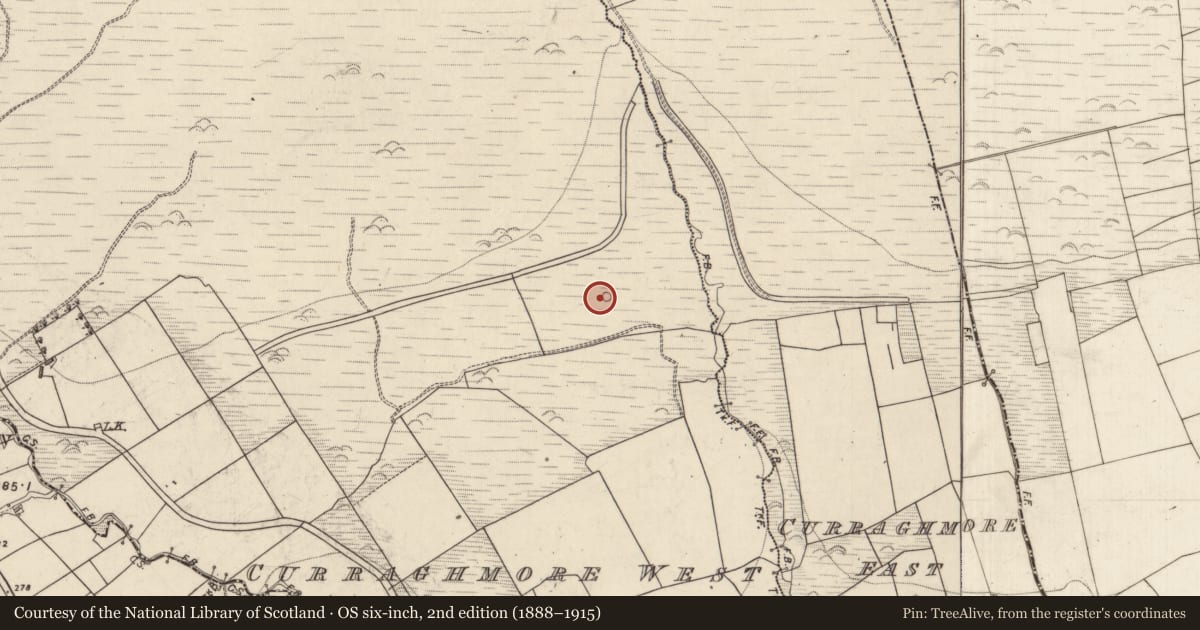 Ordnance Survey six-inch map, 2nd edition (1888–1915) covering the location of Barrow - ring-barrow, Curraghmore West, County Kerry, with a pin at the register's coordinates