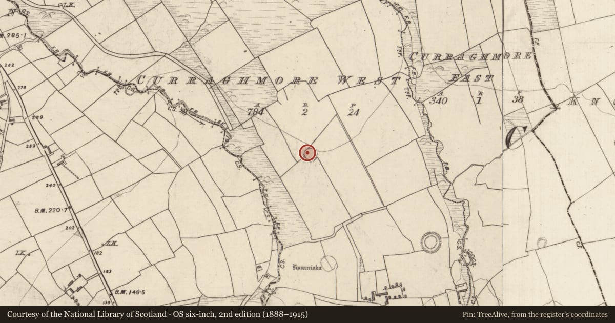 Ordnance Survey six-inch map, 2nd edition (1888–1915) covering the location of Ringfort - rath, Curraghmore West, County Kerry, with a pin at the register's coordinates