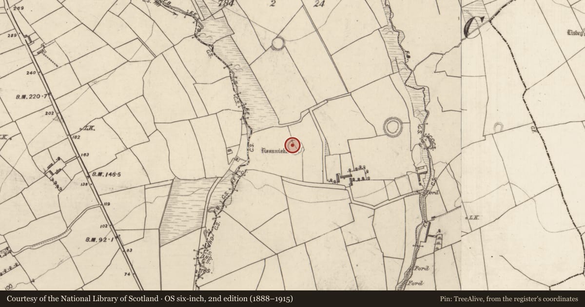 Ordnance Survey six-inch map, 2nd edition (1888–1915) covering the location of Ringfort - rath, Curraghmore West, County Kerry, with a pin at the register's coordinates