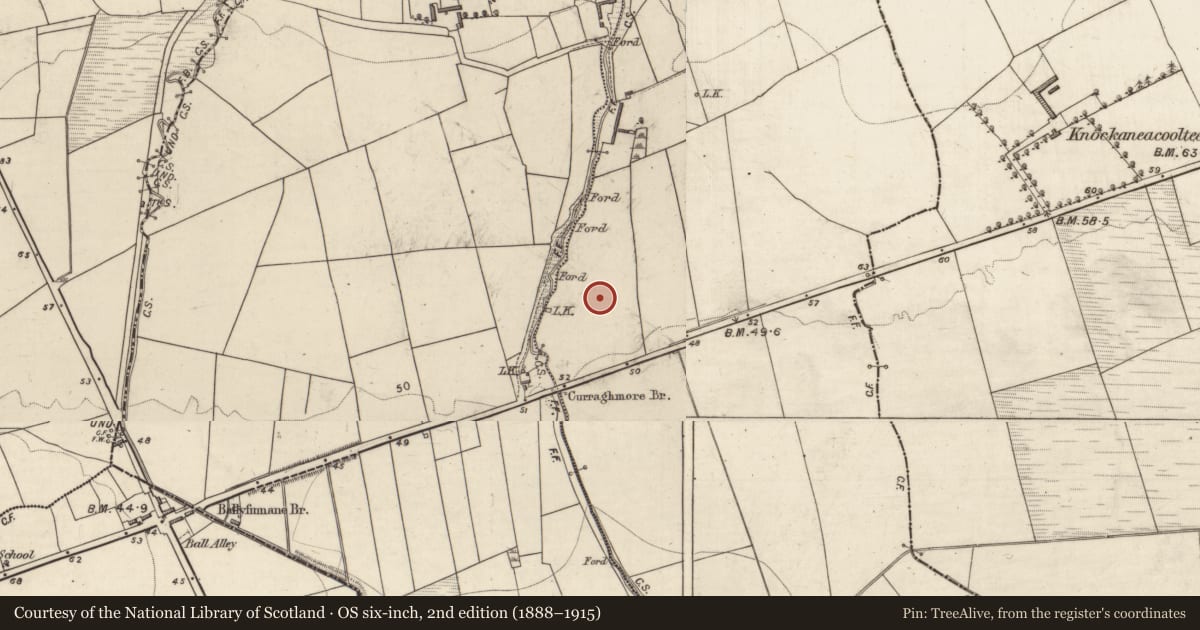 Ordnance Survey six-inch map, 2nd edition (1888–1915) covering the location of Enclosure, Curraghmore East, County Kerry, with a pin at the register's coordinates