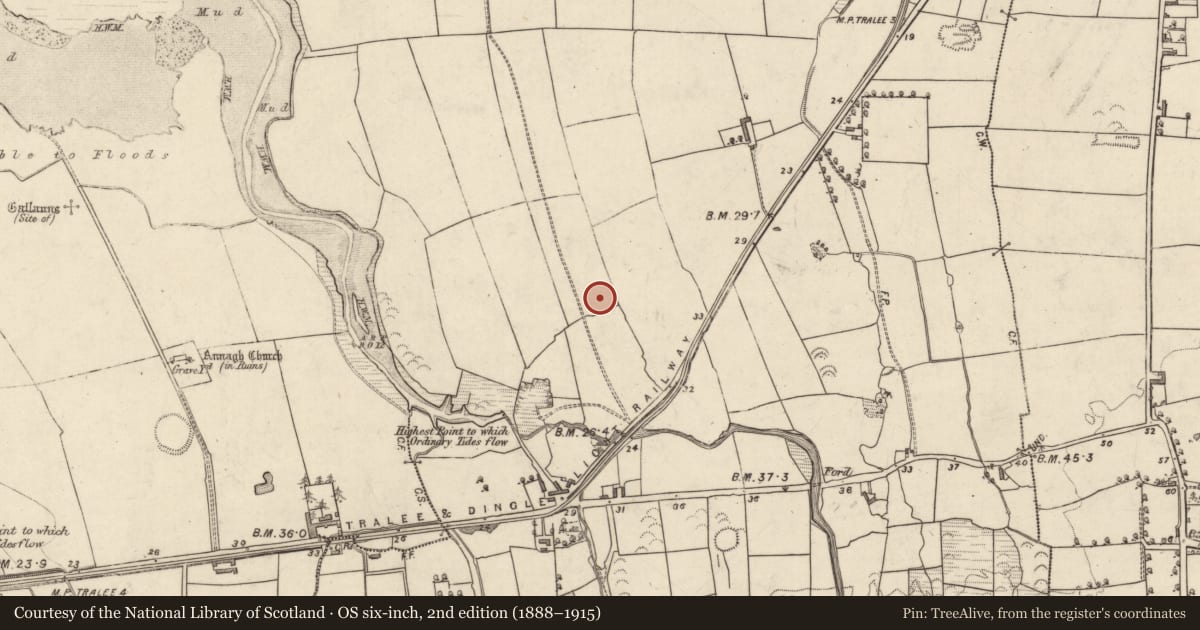 Ordnance Survey six-inch map, 2nd edition (1888–1915) covering the location of Standing stone, Tonavane, County Kerry, with a pin at the register's coordinates