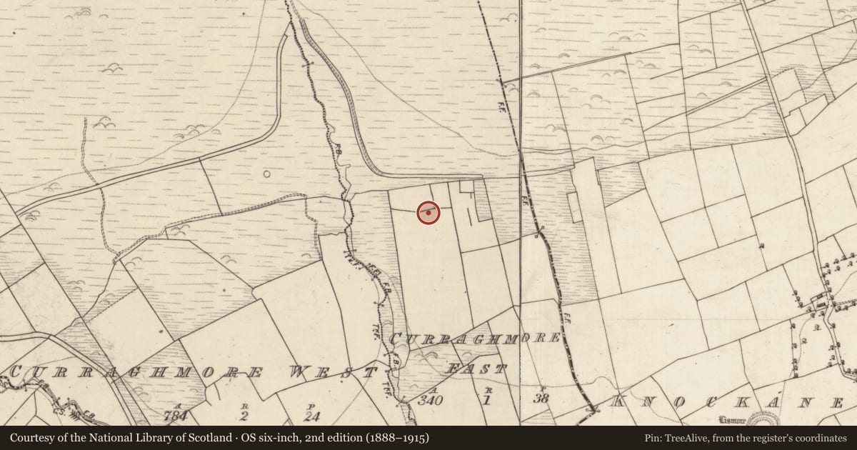 Ordnance Survey six-inch map, 2nd edition (1888–1915) covering the location of Ogham stone, Curraghmore East, County Kerry, with a pin at the register's coordinates