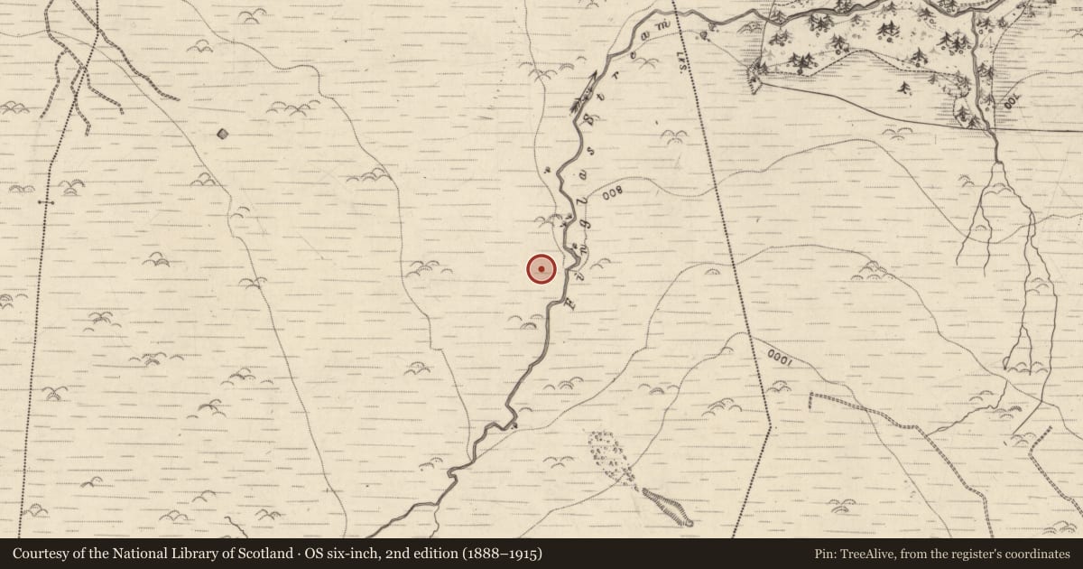 Ordnance Survey six-inch map, 2nd edition (1888–1915) covering the location of Hut site, Ballydunlea, County Kerry, with a pin at the register's coordinates