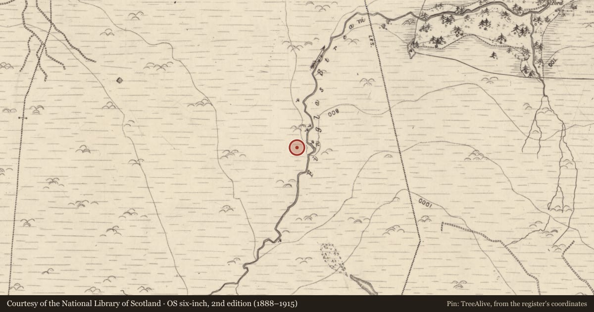Ordnance Survey six-inch map, 2nd edition (1888–1915) covering the location of Hut site, Ballydunlea, County Kerry, with a pin at the register's coordinates