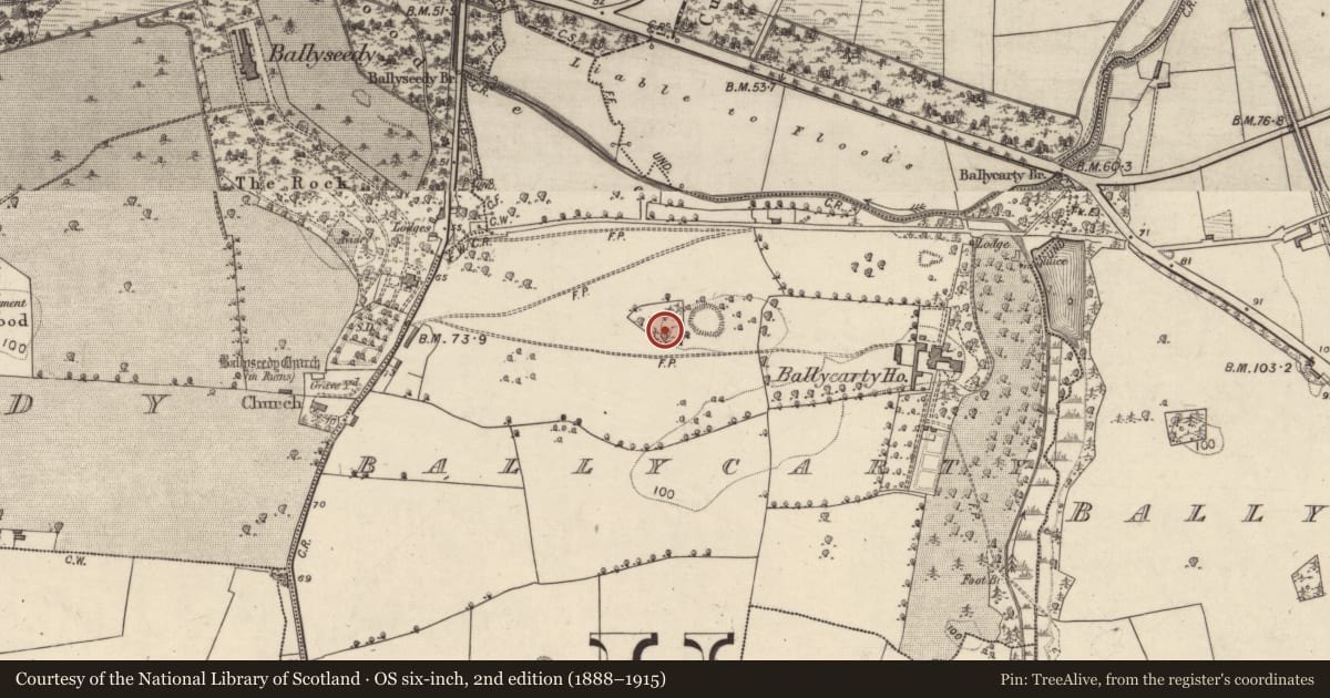 Ordnance Survey six-inch map, 2nd edition (1888–1915) covering the location of Megalithic tomb - passage tomb, Ballycarty, County Kerry, with a pin at the register's coordinates