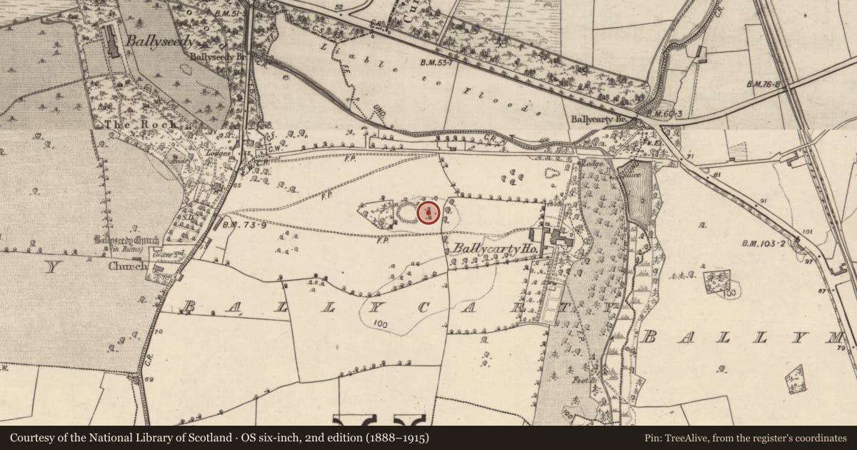 Ordnance Survey six-inch map, 2nd edition (1888–1915) covering the location of Causeway, Ballycarty, County Kerry, with a pin at the register's coordinates