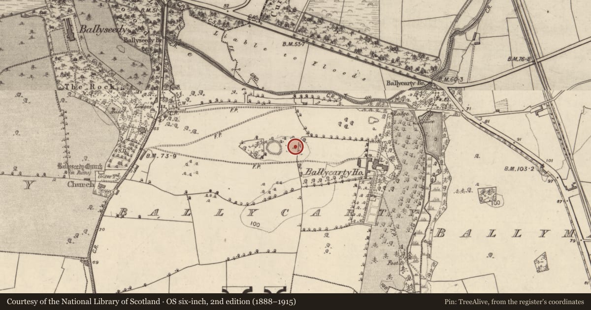 Ordnance Survey six-inch map, 2nd edition (1888–1915) covering the location of Enclosure, Ballycarty, County Kerry, with a pin at the register's coordinates
