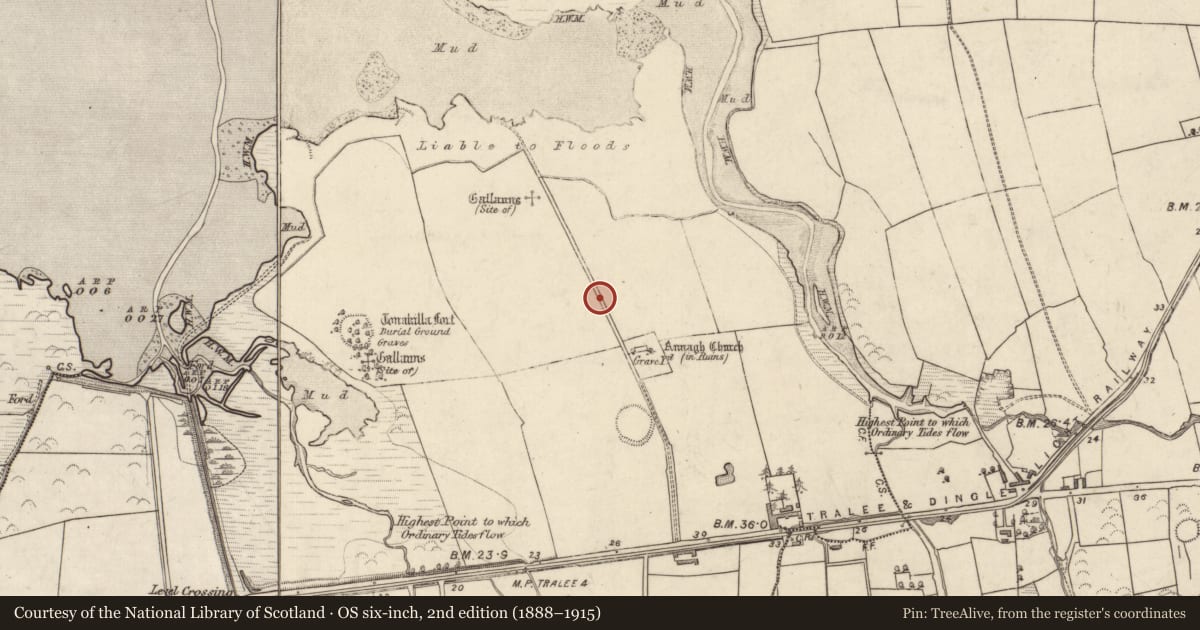 Ordnance Survey six-inch map, 2nd edition (1888–1915) covering the location of Enclosure, Annagh, County Kerry, with a pin at the register's coordinates