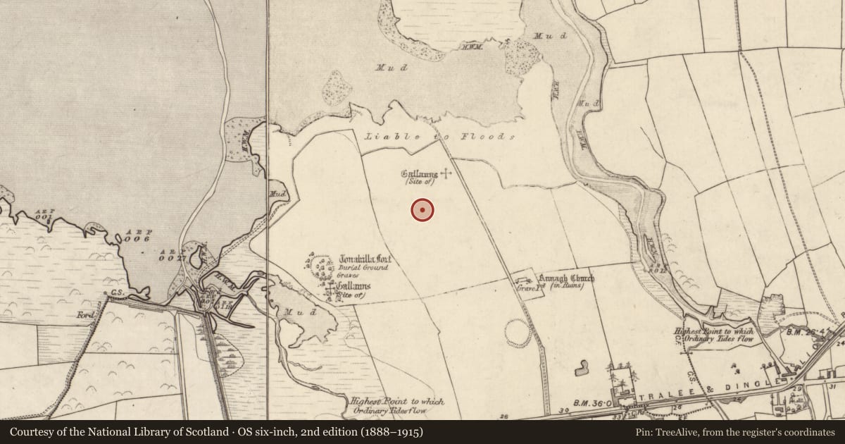 Ordnance Survey six-inch map, 2nd edition (1888–1915) covering the location of Enclosure, Annagh, County Kerry, with a pin at the register's coordinates