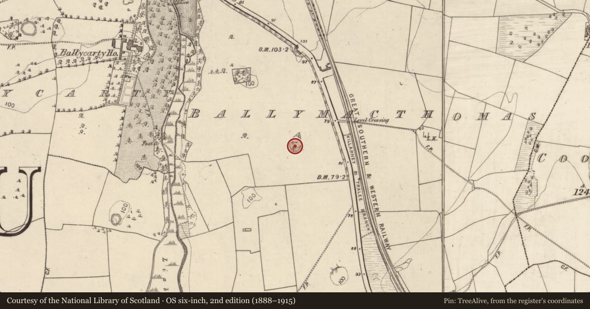 Ordnance Survey six-inch map, 2nd edition (1888–1915) covering the location of Enclosure, Ballymacthomas, County Kerry, with a pin at the register's coordinates