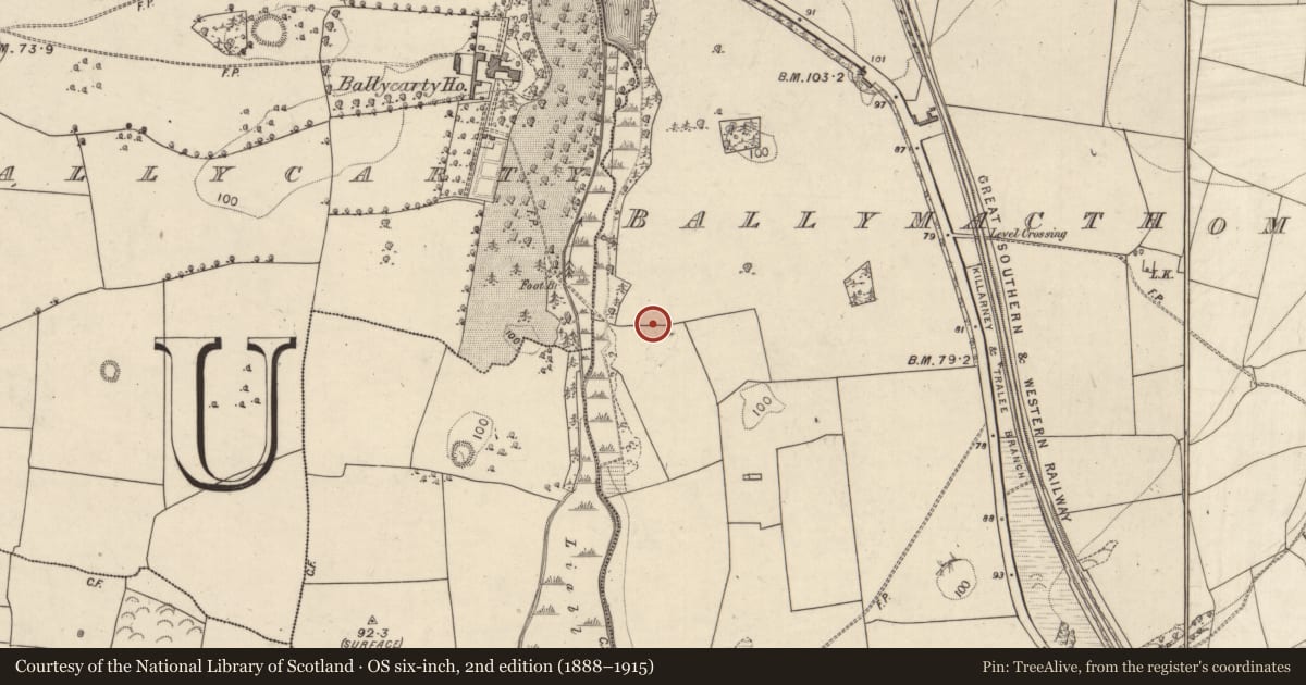 Ordnance Survey six-inch map, 2nd edition (1888–1915) covering the location of Barrow - unclassified, Ballymacthomas, County Kerry, with a pin at the register's coordinates
