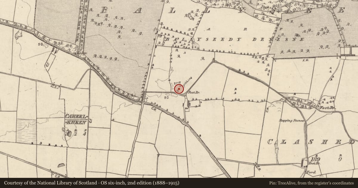 Ordnance Survey six-inch map, 2nd edition (1888–1915) covering the location of Cairn - unclassified, Ballyseedy, County Kerry, with a pin at the register's coordinates