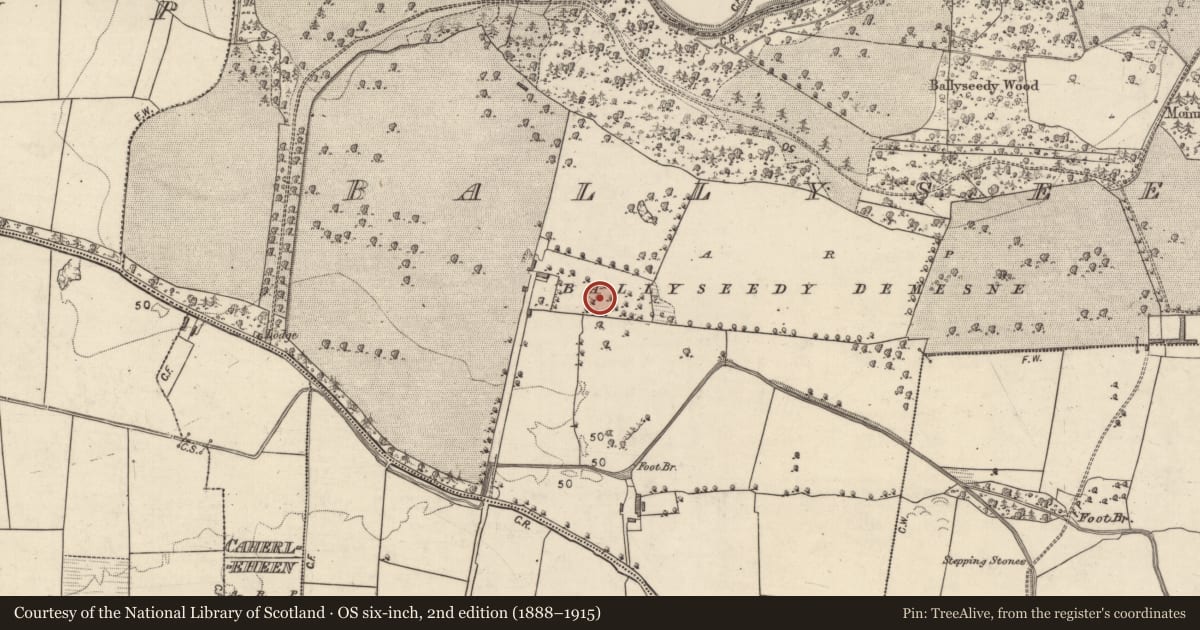 Ordnance Survey six-inch map, 2nd edition (1888–1915) covering the location of Enclosure, Ballyseedy, County Kerry, with a pin at the register's coordinates