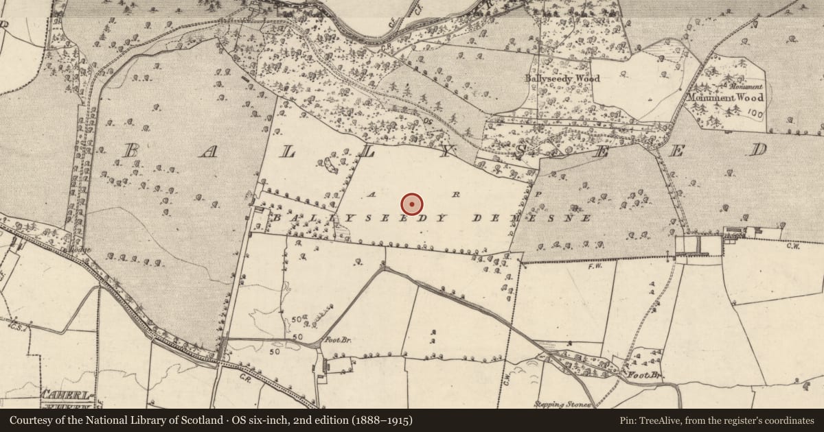 Ordnance Survey six-inch map, 2nd edition (1888–1915) covering the location of Enclosure, Ballyseedy, County Kerry, with a pin at the register's coordinates