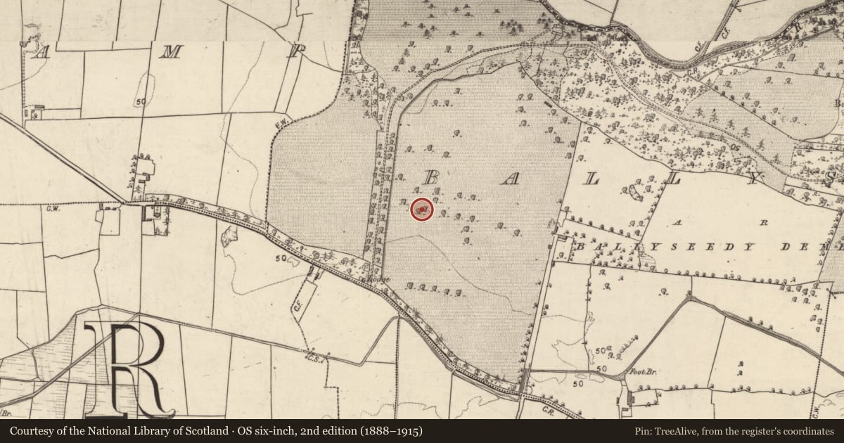 Ordnance Survey six-inch map, 2nd edition (1888–1915) covering the location of Field boundary, Camp, Ballyseedy, County Kerry, with a pin at the register's coordinates