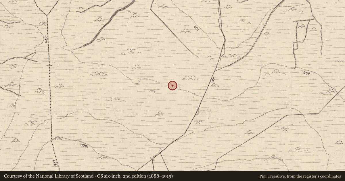 Ordnance Survey six-inch map, 2nd edition (1888–1915) covering the location of Hut site, Caherleheen (Trughanacmy By., Ballyseedy Par.), County Kerry, with a pin at the register's coordinates