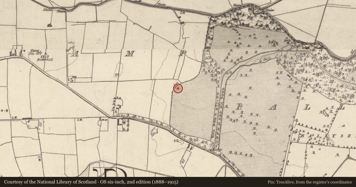 Ordnance Survey six-inch map, 2nd edition (1888–1915) covering the location of Cairn - unclassified, Camp, County Kerry, with a pin at the register's coordinates
