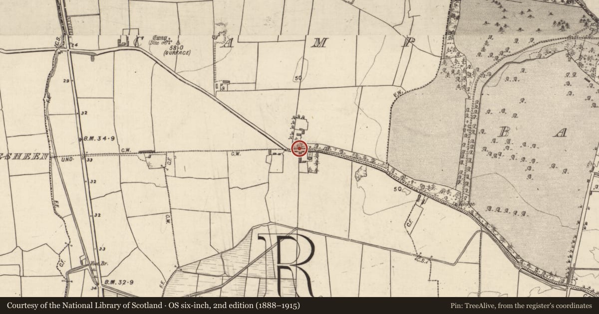 Ordnance Survey six-inch map, 2nd edition (1888–1915) covering the location of Standing stone, Camp, County Kerry, with a pin at the register's coordinates