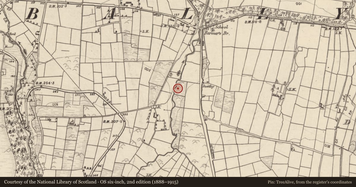 Ordnance Survey six-inch map, 2nd edition (1888–1915) covering the location of Burnt mound, Lissardboola, County Kerry, with a pin at the register's coordinates