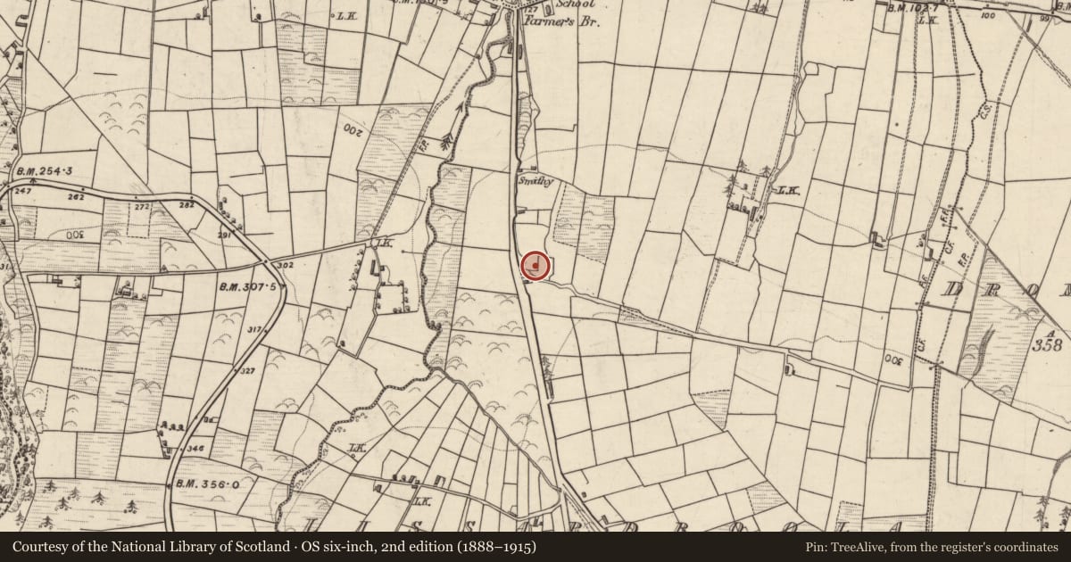 Ordnance Survey six-inch map, 2nd edition (1888–1915) covering the location of Enclosure, Lissardboola, County Kerry, with a pin at the register's coordinates