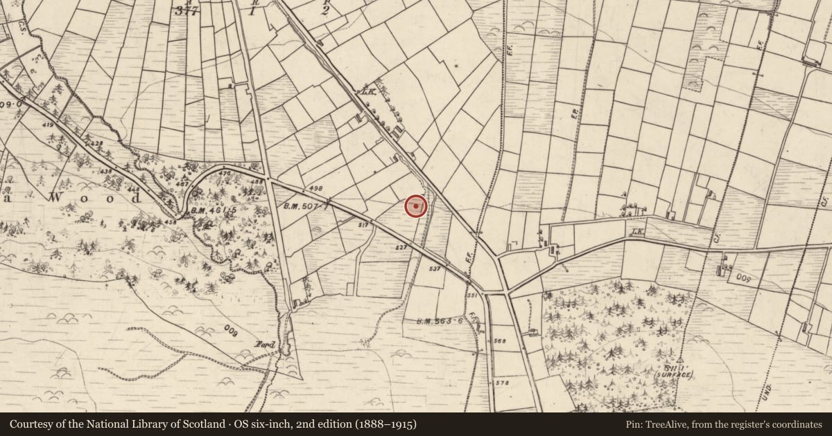 Ordnance Survey six-inch map, 2nd edition (1888–1915) covering the location of Burnt mound, Lissardboola, County Kerry, with a pin at the register's coordinates